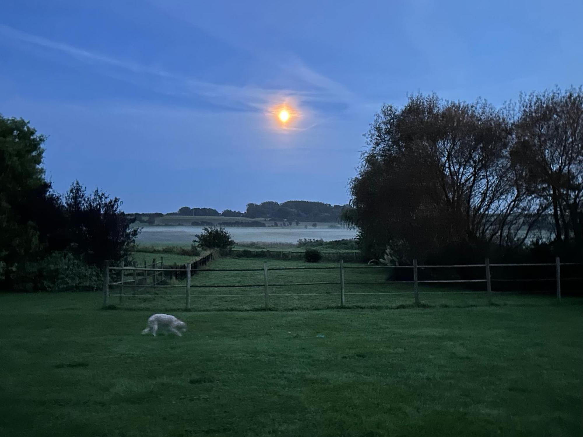 Holiday home Le Wim'heureux Campagne Bazinghen