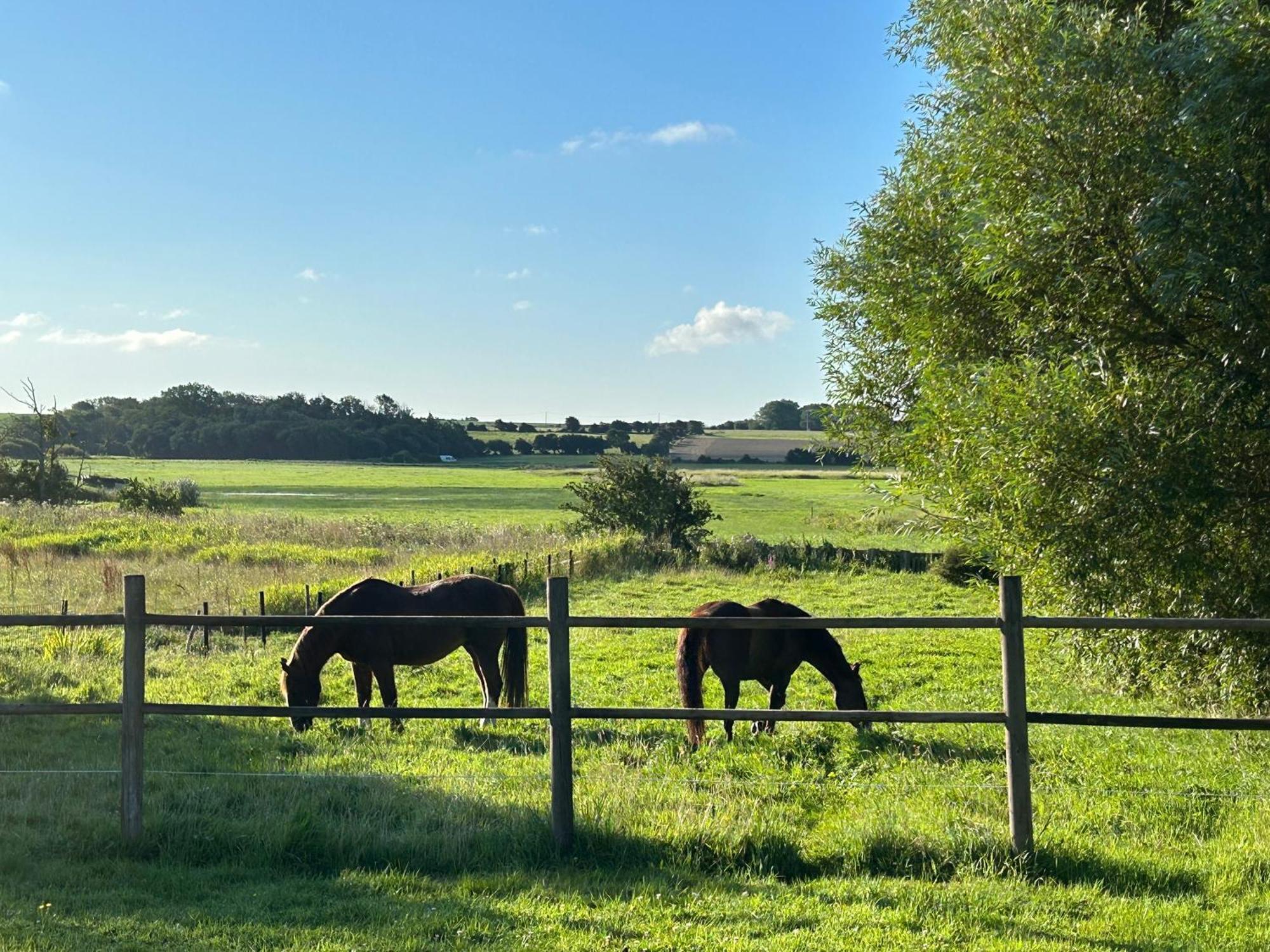 Le Wim'heureux Campagne Bazinghen