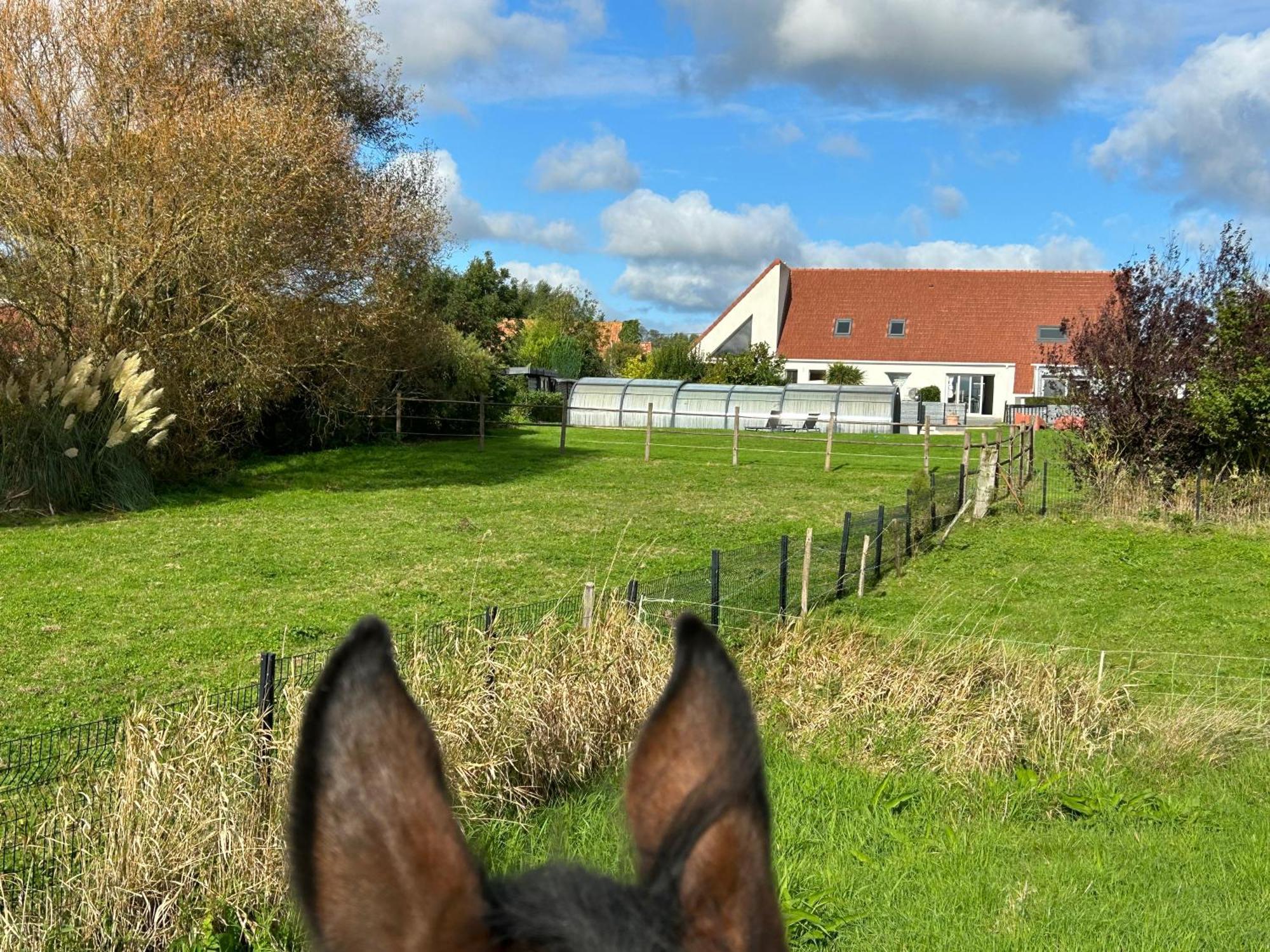 Le Wim'heureux Campagne Holiday home